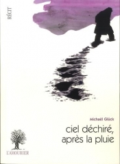 Ciel déchiré après la pluie.jpg